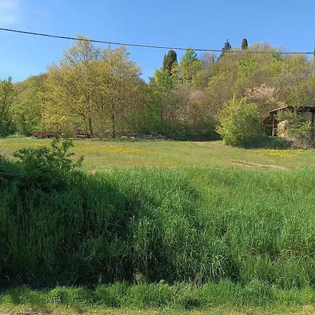 Anime Salve Restaurant 萨拉巴根泽