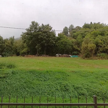 ベッド・アンド・ブレックファスト Anime Salve Restaurant