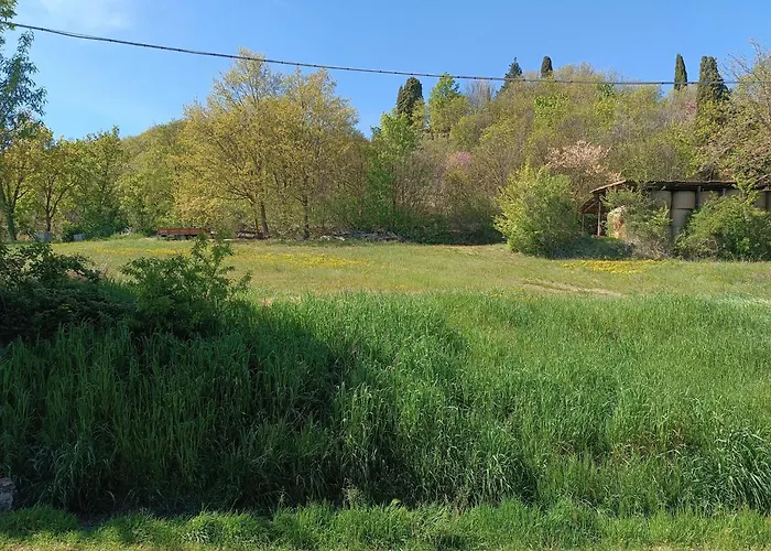 Anime Salve Restaurant سالا باغانزا